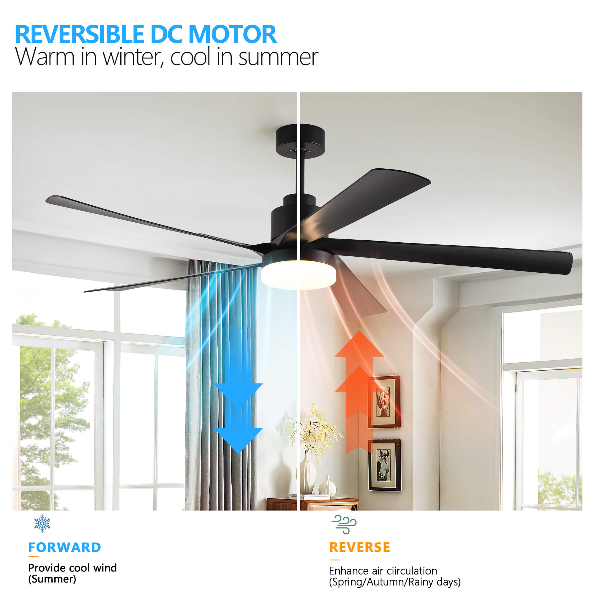 maxora-65-modern-smart-balck-large-smart-ceiling-fan-with-led-lights-remote-for-bedroom-and-living-room-_5