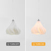 Modern Simple Three-Dimensional Petal Unique Design Pendant Light